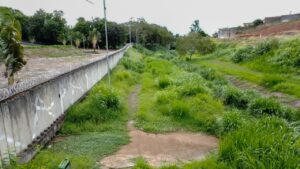 Pista de caminhada às margens do Córrego Chafariz é tomada pelo mato e gera preocupação em Alfenas-MG!