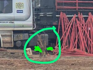 Tragédia em Careaçu: trabalhador morre atingido por estrutura metálica durante desmontagem de rodeio